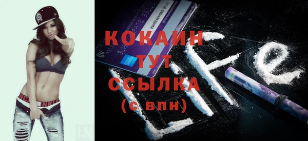 стаф Дмитров