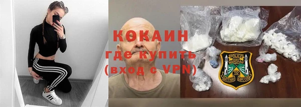 стаф Дмитров
