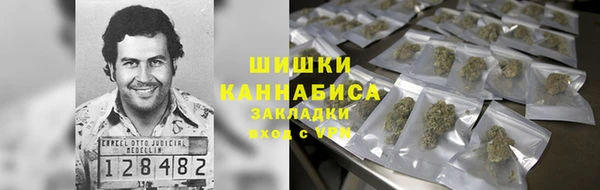 стаф Дмитров