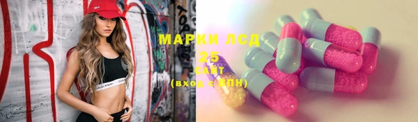 стаф Дмитров