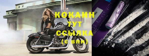 стаф Дмитров
