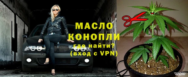 стаф Дмитров