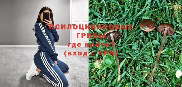 синтетический гашиш Дмитровск