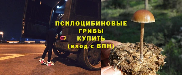 стаф Дмитров